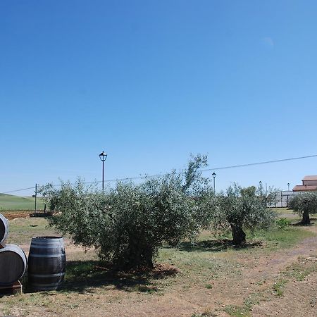 Casa Rural Teso De La Encina Villamor de los Escuderos Экстерьер фото