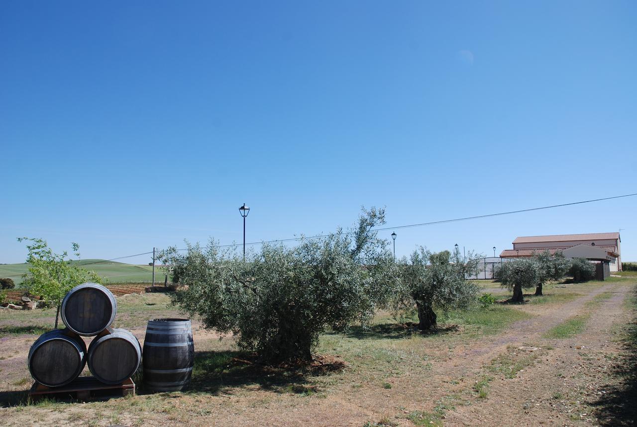 Casa Rural Teso De La Encina Villamor de los Escuderos Экстерьер фото