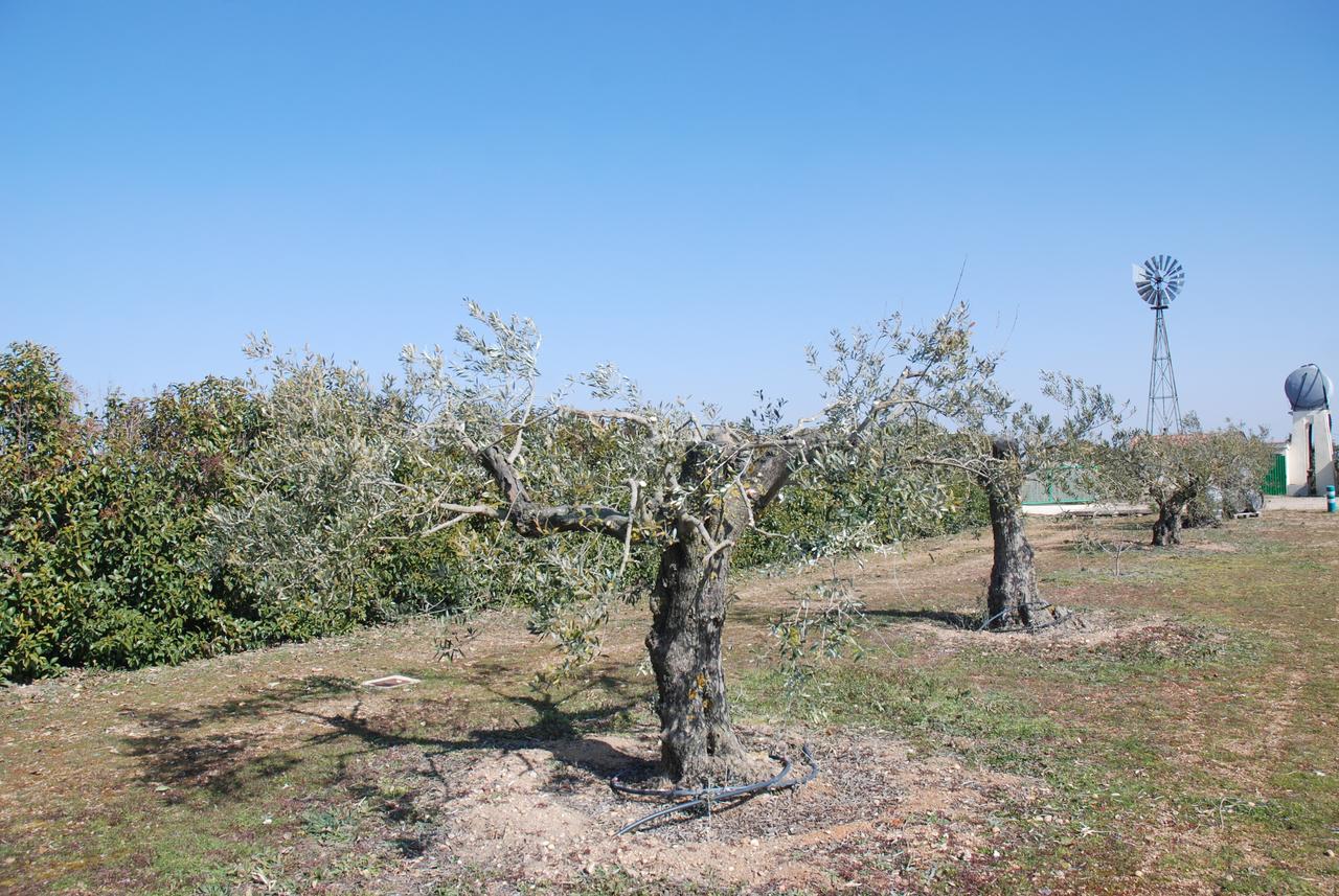 Casa Rural Teso De La Encina Villamor de los Escuderos Экстерьер фото